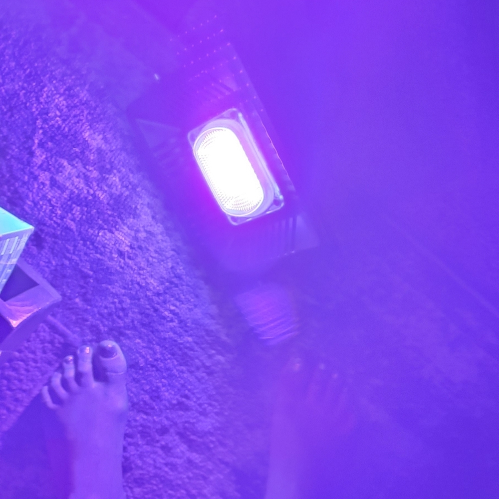 <<<party light, night light, its a BLACK LIGHT>>>